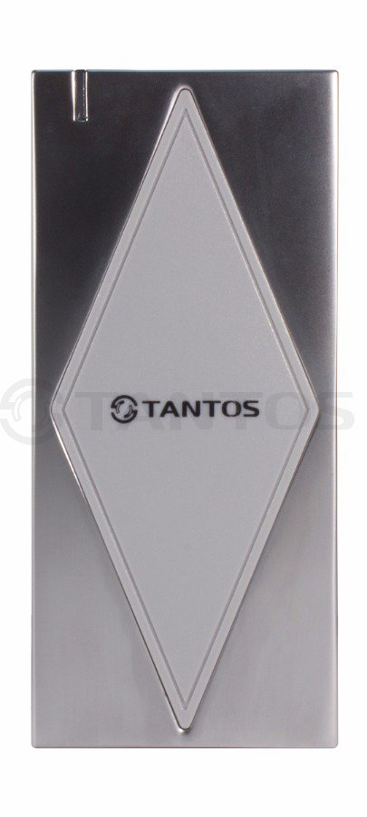 Считыватель Tantos TS-RDR-EHMF Metal