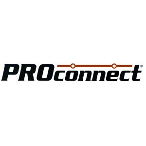 логотип Proconnect